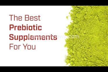 the-best-prebiotics-for-a-healthy-gut