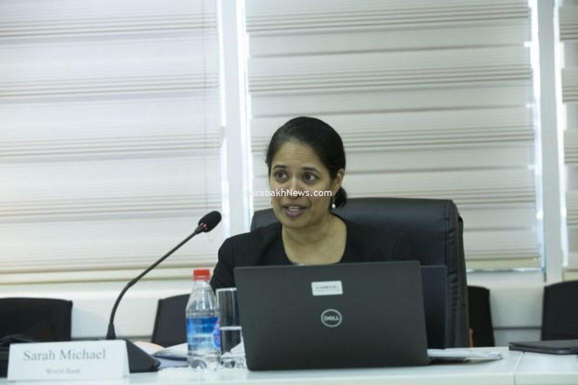 increasing-digital-skills-in-azerbaijan-can-increase-service-exports:-world-bank