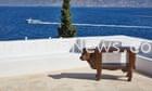 ‘pauline-is-unique’:-patron-of-emin-and-hirst-sells-off-vast-hydra-art-collection