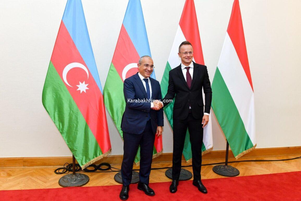 azerbaijan,-hungary-explore-potential-partnering-on-green-energy-projects
