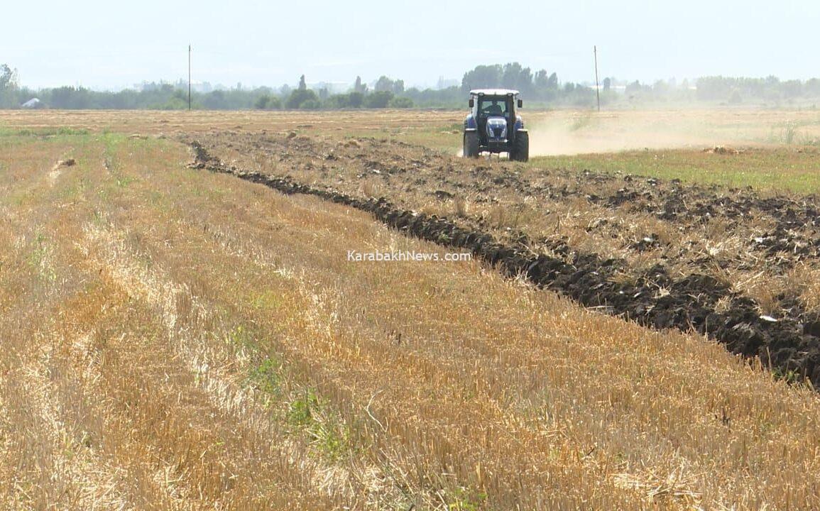 land-plots-volume-involved-in-sowing-work-in-azerbaijani-liberated-territories-named