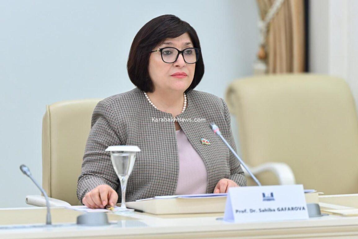 azerbaijan’s-parliamentary-speaker-updates-osce-pa-delegation-on-south-caucasus
