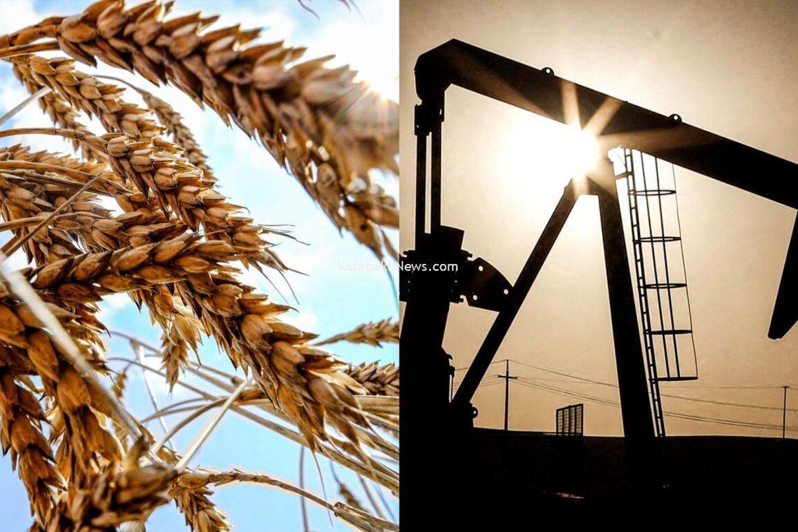 diversifying-economy-by-reviving-agriculture:-challenges-and-benefits