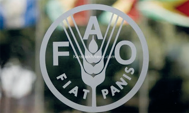 turkmenistan-collaborates-with-fao-to-establish-electronic-land-cadastre