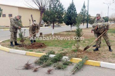 azerbaijan-army-continues-tree-planting-campaign