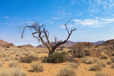 some-of-azerbaijan’s-territories-are-at-high-risk-of-severe-drought