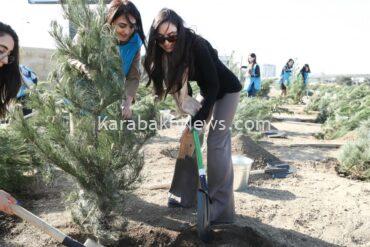 tree-planting-campaign-held-in-baku
