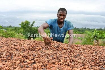 why-the-global-cocoa-market-is-melting-down