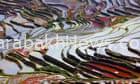 ‘a-distressing-reality’:-our-beautiful-planet-under-threat-–-in-pictures
