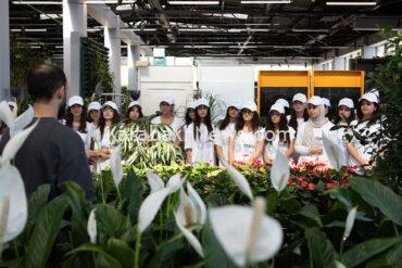 seeds-for-green-future:-cop29-volunteers-spearhead-eco-initiative-in-baku