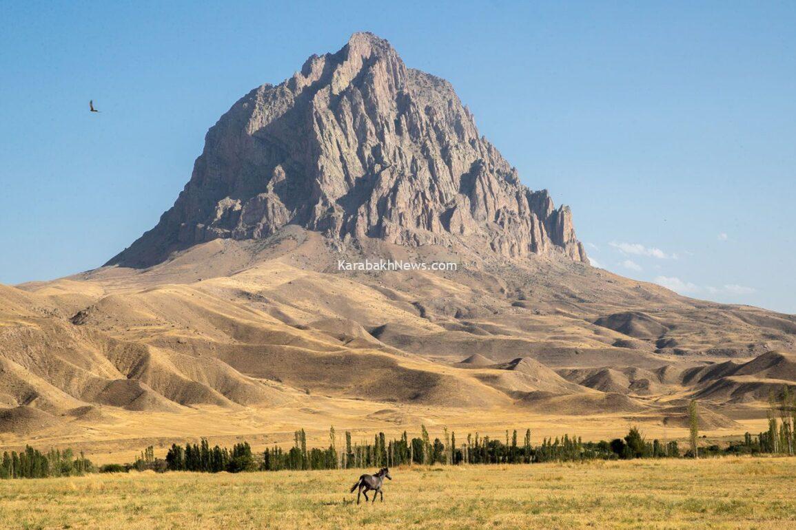 global-environmental-fund-supports-project-in-nakhchivan-in-partnership-with-un-agency