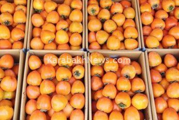 azerbaijan’s-date-exports-to-russia-surge-by-over-71%
